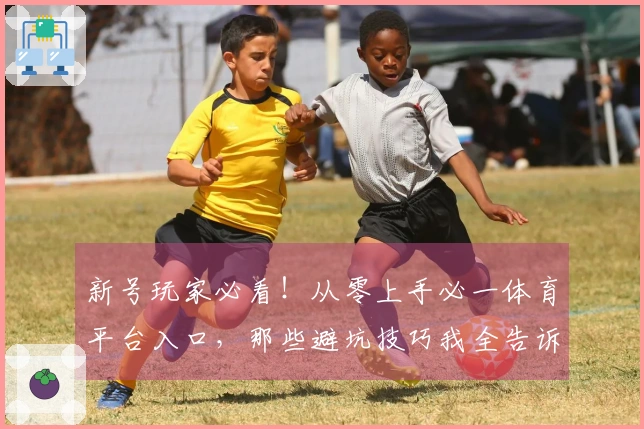 新号玩家必看！从零上手必一体育平台入口，那些避坑技巧我全告诉你