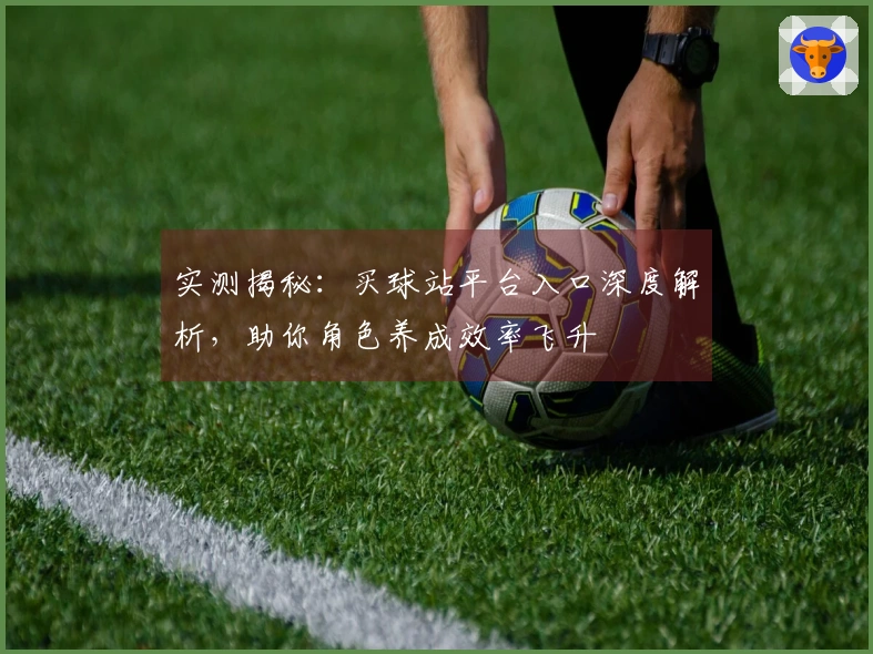 实测揭秘：买球站平台入口深度解析，助你角色养成效率飞升