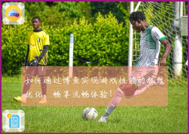 如何通过博鱼实现游戏性能的极致优化，畅享流畅体验！